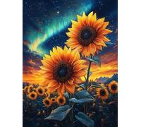 Diamond Painting Adulte Ciel éToilé 50x70cm 5d Diamond Painting Enfant Full Drill Peinture Diamant Fleurs Diy Crystal art Loisirs Créatifs Mit Vollständiges Werkzeug Pour Décoration Murale Cadeau T395
