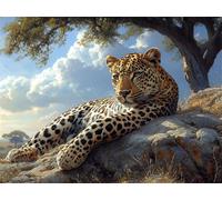 Diamond Painting Adulte, Diamant Painting Léopard Round Full Drill Peinture Diamant Afrique Kit Peinture Adulte, Diamond Point de Croix Cristal Painting pour Murale Maison Décoration 60x80cm L-685