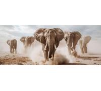 Diamond Painting Adulte, DIY Diamant Painting Afrique Grand Format 50x20cm Éléphant Broderie Diamant Kit Complet, Loisirs Créatifs Adulte Broderie Point de Croix Peinture pour Decoration Murale xg-237