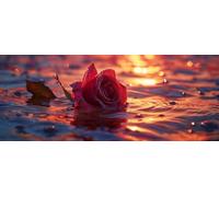 Diamond Painting Adulte, DIY Diamant Painting Rose Grand Format 50x20cm Coucher de soleil Broderie Diamant Kit Complet, Loisirs Créatifs Adultes Broderie Point de Croix pour Decoration Murale xg-79