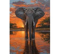 Diamond Painting Adulte Éléphant DIY Diamond Painting Kit Complet Peinture Diamant pour Débutants Enfant, 5D Broderie Diamant Coucher de soleil Canevas Peinture Décoration Murale Cadeau20x30cm H-381