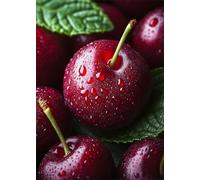 Diamond Painting Adulte Enfant Fruit Peinture Diamant Painting Cerise DIY 5D Broderie Diamant Kit Complet, Strass Point de Croix Loisirs Créatifs Adultes pour Décoration Murale Cadeau 20x30 cm X4-1360
