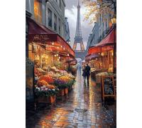 Diamond Painting Adulte Enfant Paris Peinture Diamant Painting Vue Rue DIY 5D Broderie Diamant Kit Complet, Strass Point de Croix Loisirs Créatifs Adultes pour Décoration Murale Cadeau 40x50 cm X4-766