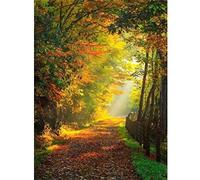 Diamond Painting Adulte Kit, Paysage de forêt DIY Diamant Peinture Point Croix Broderie Kits, 5D Artisanat Cristal Strass Broderie Diamant Arts pour Décoration Maison Bureau Square Drill, 50x70cm