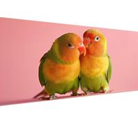 Diamond Painting Adulte Oiseau Diamant Painting Animal, Peinture Diamant, DIY Activité Manuelle Adulte Art 5D Strass Full Drill Rond Point de Croix Artisanat pour Murale Décoration 80x160cm 0-AL53