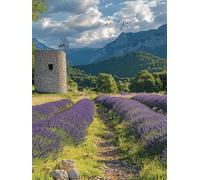 Diamond Painting Adulte Paysage 5D Diamant Painting Kit Complet, DIY Ronde Full Drill Peinture Diamant Nature avec Accessoires Débutant Strass Broderie Art pour Decoration Murale Maison 20x30 cm G-704
