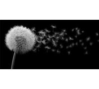 Diamond Painting Adulte pissenlit Loisirs Créatifs Adultes Diamond Painting Accessoires 5D DIY Peinture Diamant plante Canevas Enfant, Cadeau Anniversaire Femme, Décoration Chambre, 60x120cm s-362