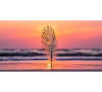 Diamond Painting Adulte Plume Diamond Painting Grand Format 180x90cm DIY Broderie Diamant Complet Artisanat MaréE Enfants Tableau Perle Diamant a Coller Pour DéCoration Maison et Femme Cadeau 0O-936