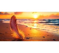 Diamond Painting Adulte Plume Diamond Painting Grand Format 50x25cm DIY Broderie Diamant Complet Artisanat CréPuscule Enfants Tableau Perle Diamant a Coller DéCoration Maison et Femme Cadeau 0O-937