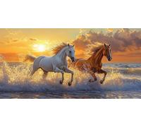 Diamond Painting Adulte XXL Grand Format, Plage de sable de cheval Diamant Art Enfant Ronde Peinture Kit Débutant, 5D DIY Cristal Strass Point de Croix Set Décoration Murale Maison Amis 60x80cm E476