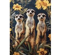 Diamond Painting Afrique suricates, Diamond Painting Adulte Enfant, DIY Peinture Diamant 40x55 cm, 5d Complet Diamant Kit,Strass Point de Croix Cristal Art pour Murale Décoration Femmes Cadeaux 0b-158
