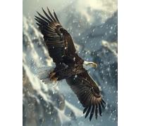 Diamond Painting Aigle, Peinture Diamant Animal Diamond Painting Adulte Grand Format 50x70cm, 5D DIY Broderie Diamant Point de Croix Loisirs Créatifs Adultes pour Decoration Maison, Cadeau -zjn2506Z4