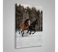 Diamond Painting Animal Peinture Diamant Cheval 5D DIY Diamant Painting Kit Complet, Diamond Cristal Perle Broderie Point de Croix Art Set Pour La Décor Murale à La Maison 70x95cm PjY5947 A-3