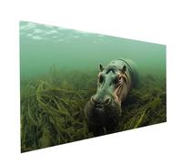Diamond Painting Animal, Rond Full Drill Peinture Numero Adulte Hippopotame, Kit Broderie Canevas Kit Complet Adulte, Strass Cristal Art Peinture Diamant pour Decoration Maison 160 x 80 cm Model-14679