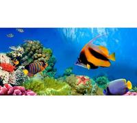 Diamond Painting Animaux marins, Grand Format 30x60cm Peinture Diamant Adulte kit Complet, 5D Bricolage Diamond Pasted Painting Point de Croix Strass Broderie Craft pour Home Décoration Murale H-241