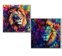 Diamond Painting Anu ouleur 2 Pièces, DIY 5D Diamond Painting Adulte Kit Complet, Kit de Peinture Diamant Croix Cristal pour Enfants, Cadeau Créatif pour Filles, Maison Décoration Murale 0D-1