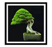 Diamond Painting Arbre à feuilles persistantes Bonsai,5D DIY Broderie Diamant Painting Kits,Adultes Diamant Peinture Strass Point de Croix Diamant Arts Craft Décora Salon Murale Square drill,40x40cm
