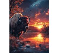Diamond Painting Bison, 5D Diamond Painting Adulte Grand Format Coucher De Soleil Kit Broderie Diamant Kit Complet Rond, Peinture Diamant Point de Croix Loisirs Créatifs Adultes, Cadeau 50x80cm 6-IR79