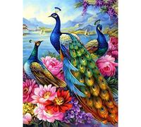 Diamond painting,broderie diamant kit complet,canevas kit complet stitch,loisirs créatifs adultes peinture diamant,Debutant Cristal Image Artisanat Maison Décor Fleur de paon Round Drill,30x40cm