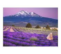 Diamond Painting Champ de lavande,5D DIY Broderie Diamant Painting Kits,Adultes Enfants Diamant Peinture Strass Point De Croix Diamant Arts Craft pour la Décoration Salon Chambre Murale 30x50cm