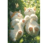 Diamond Painting Chat, 5D Kit Complet Diamond-Painting Couples, Loisirs Créatifs Adultes, DIY Canevas Enfants Débutant, Point de Croix Cristal Peinture Diamant, Décoration Maison de Noël 20x30cm Q-514