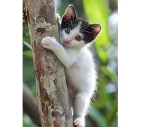 Diamond Painting Chat, 5D Kit Complet Diamond-Painting Les arbres, Loisirs Créatifs Adultes, DIY Canevas Enfants Débutant, Point de Croix Cristal Peinture Diamant, Décor Maison de Noël 30x60cm Q-516