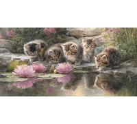 Diamond Painting Chat Animal Diamond Painting Adulte, Diy Ronds Gem Strass Point De Croix Peinture Sets, Diamant Art Kit Complet Adultes And Enfants, La DéCoration Murale à La Maison 40x20cm T-Z551
