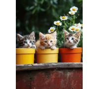 Diamond Painting Chat, Kit Complet Diamond-Painting Pots de fleurs, Loisirs Créatifs Adultes, Canevas Enfants Débutant, Point de Croix Cristal Peinture Diamant, Décoration Maison de Noël 55x80cm Q-502