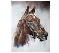 Diamond Painting Cheval Broderie Diamant Painting Kit Complet Grand Format 5D Peinture Diamant Numero Adulte Enfant Strass Coller Perle Tableau Diamant Art Craft Home Decor 50x70cm