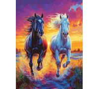 Diamond Painting Cheval Diamond Painting Adulte Coucher De Soleil, Peinture Diamant, 5D Broderie Diamant Activité Manuelle Adulte DIY Round Strass Artisanat Kits pour Murale Décoration 70x100cm 8-SO32