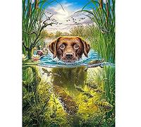 Diamond Painting Chien Broderie Diamant Peinture kit Complet Grand Format Canevas Peinture Numero Adulte Point De Croix Strass Artisanal Pour Maison Bureau Décor Murale Geschenk 40x50cm/16x20in