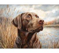 Diamond Painting Chien Peinture Diamant Animaux Diamond Painting Adulte, 5D DIY Broderie Diamant Point de Croix Loisirs Créatifs Adultes Artisanat Kit pour Decoration Chambre 35x50 cm, Model 952