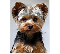 Diamond Painting Chien Yorkshire Terrier 5D Kit Broderie Diamant Complet,Diamond Painting Grand Format,Bricolage Forage Complet Cristal Strass Point de Croix Artisanat Murale à La Maison Décor 40x50cm