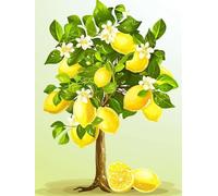 Diamond Painting Citron DIY Peinture Diamant Adulte,5D Diamond Art Kit Enfants Complet Strass Cristal Point Croix Broderie Peinture canevas pour Cadeau Femme, Murale Décoration 60x80cm Usine Z1-499