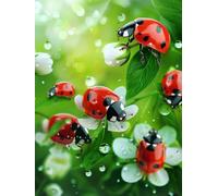 Diamond Painting Coccinelle DIY Peinture Diamant Adulte,5D Diamond Art Kit Enfants Complet Strass Cristal Point Croix Broderie Peinture pour Cadeau Femme, Murale Décoration 30x40cm Goutte pluie Z1-244