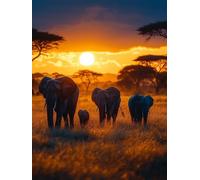 Diamond Painting Coucher De Soleil Diamond Painting Adulte éLéPhant, Peinture Diamant, 5D Broderie Diamant Activité Manuelle Adulte DIY Carré Artisanat Kits pour Murale Décoration 60x90cm 1-8F27