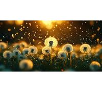 Diamond Painting Coucher soleil, Pissenlit Diamond Painting Adulte Grand Format 30 x 60 CM, 5D DIY Peinture Diamant Adulte Loisirs Créatifs avec Carré Full Drill Toile pour Decoration Murale J-456