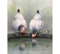 Diamond Painting Deux poules DIY 5D Diamant Peinture Full Drill Broderie par numéro kit Point De Croix Strass Complet Adultes Enfants Art Mur Décor (Pas de Cadre) 40x30cm