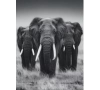 Diamond Painting éLéPhant, 5D Diamond Painting pour Decoration Murale Maison, Animal DIY Carré Peinture Diamant Adulte, Diamant Point de Croix Kit, DIY Activité Manuelle Adulte, Cadeau, 30x40cm U-2002