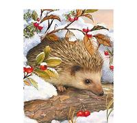 Diamond Painting Enfant, Broderie Diamant Kit Complet, DIY 5D Peinture Numero Adulte, Perle diamant a Coller Canevas Cristal Strass Point De Croix, Décor Maison/Salon/Chambre/Hérisson,80x100cm/32x40in