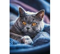 Diamond Painting Enfant Chat, 5D Diamond Painting Adulte Grand Format Chat British Shorthair Kit Diamant Kit Complet Rond, Peinture Diamant Broderie Loisirs Créatifs Adultes, Cadeau 80x120cm B-VO40