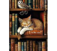 Diamond Painting Enfant Chat, Diamond Painting Livres Kit Complet, DIY Activité Manuelle Adulte, 5D Peinture Diamant Enfant, Canevas Diamant 50x70cm, Loisirs Creatif Cadeaux Décoration Maison C3-828