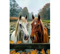 Diamond Painting Enfant Cheval, Diamond Painting Lac Kit Complet, DIY Activité Manuelle Adulte, 5D Peinture Diamant Enfant, Canevas Diamant 100x130cm, Loisirs Creatif Cadeaux Décoration Maison C3-842
