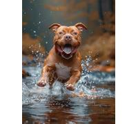 Diamond Painting Enfant Chien, 5D Diamond Painting Adulte Grand Format Pitbull Kit Broderie Diamant Kit Complet Rond, Peinture Diamant Point de Croix Loisirs Créatifs Adultes ,Cadeau 70x100cm 6-2E45