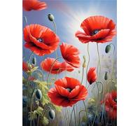 Diamond Painting Enfant, Coquelicots rouges Peinture Diamant Loisirs Créatifs Adultes, Broderie Diamant Point de Croix Cristal Diamond Painting Paysage, Painting Diamant Decoration Chambre(30x40cm)-7M