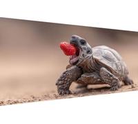 Diamond Painting Enfant Tortue, 5D Painting Diamant Grand Format Fraise Rétro DIY Loisirs Créatifs Adultes Kit Broderie Diamant Kit Complet Rond Drill Peinture Adulte Murale Décoration60x120cm M-5665