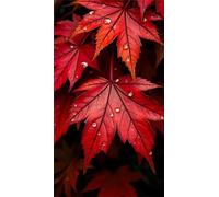 Diamond Painting Feuille d'érable rouge,Kit de Peinture Diamant Complet pour Adultes,5D Square Drill Strass Broderie Diamant,DIY Cristal Point de Croix Diamond Art pour Maison Murale Décor 80x170 cm