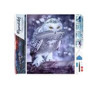 Figured’Art Diamond Painting Broderie Diamant 40x50cm Toile Entière Roulée avec Strass Perles Carrés - Chouette et Plume - Kit Complet Animaux 5D DIY Activité Manuelle Loisirs Créatifs Adultes