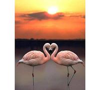Diamond Painting Flamant Rose Au Coucher Du Soleil,5D Diamant Peinture Kit Complet Strass à Broder au Point de Croix Arts Craft pour Salon ou Chambre à Coucher Décoratio Murale （30 x 40 cm）