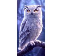 Diamond Painting Hiver Diamond Painting Adulte 5D Hibou Peinture Diamant XXL 50x100cm, DIY Débutant Art Set, Point de Croix Activité Manuelle Adulte Kits pour Decoration Maison Murale, Cadeau,Model958
